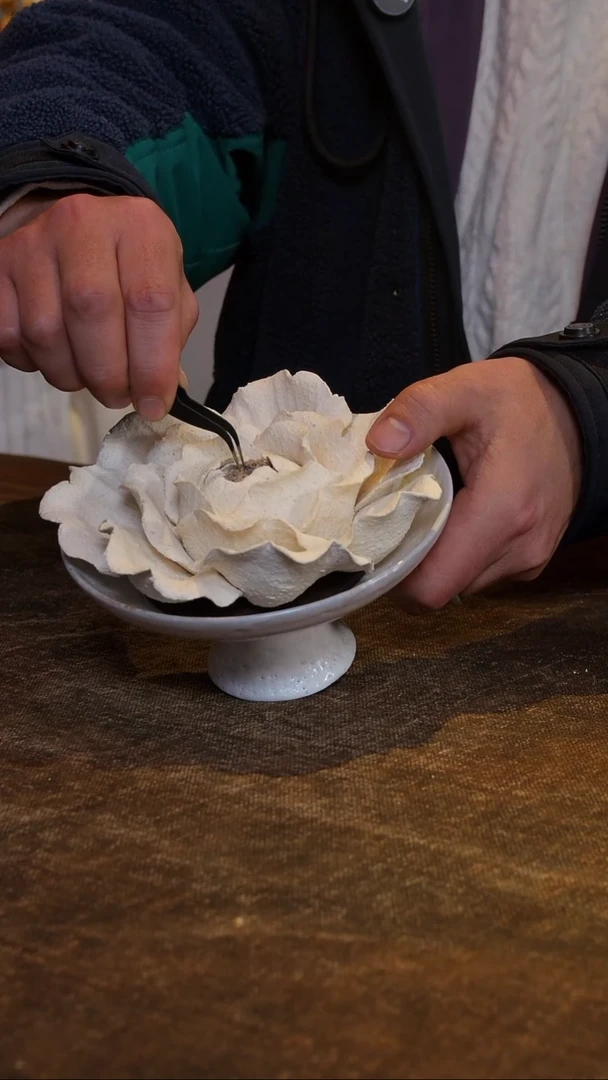 【闪购商品】鱼和熊工作室器物鱼和熊工作室器物