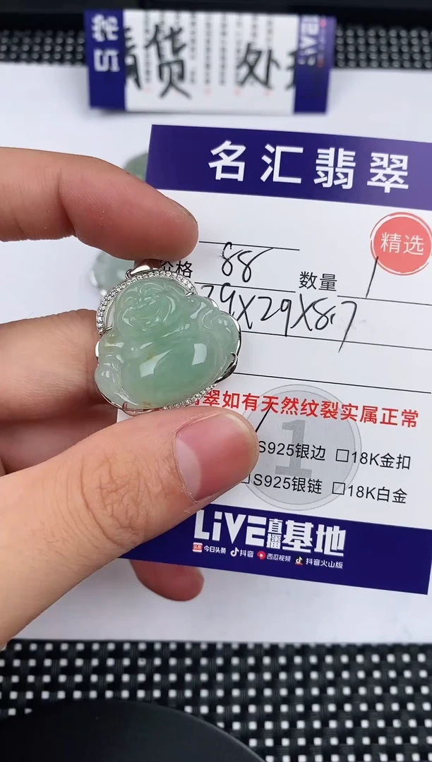 翡翠银S925镶嵌颈饰·