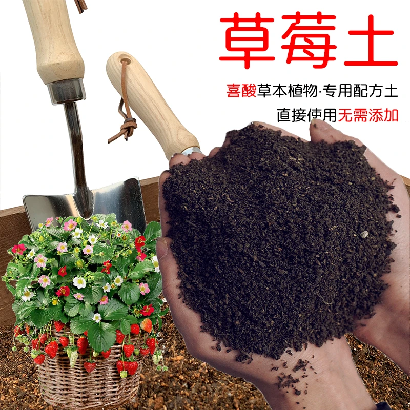 草莓专用土有机营养土草莓土种植土泥土绿植家用盆栽草莓土壤花土