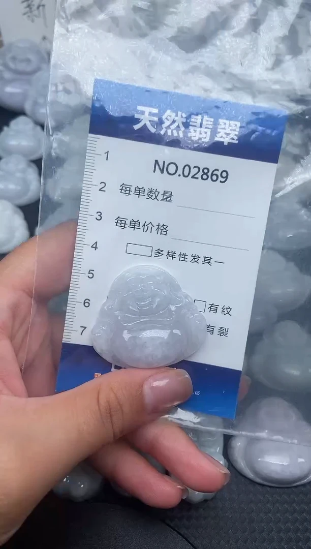 颈饰未镶嵌翡翠纯天然A货翡翠