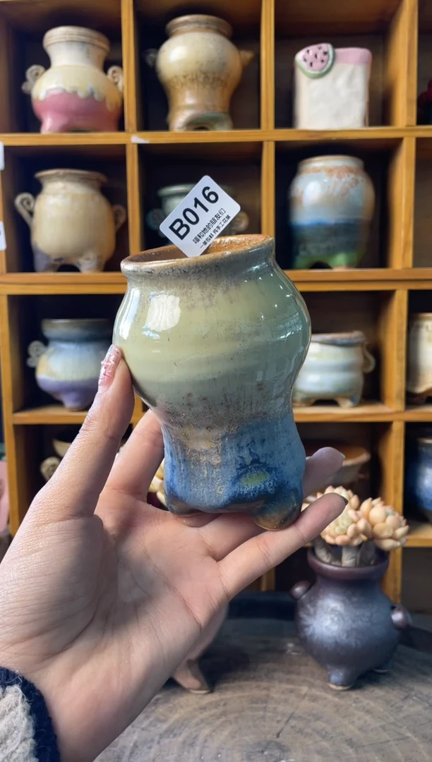 R****?016【多肉花盆多肉盆】