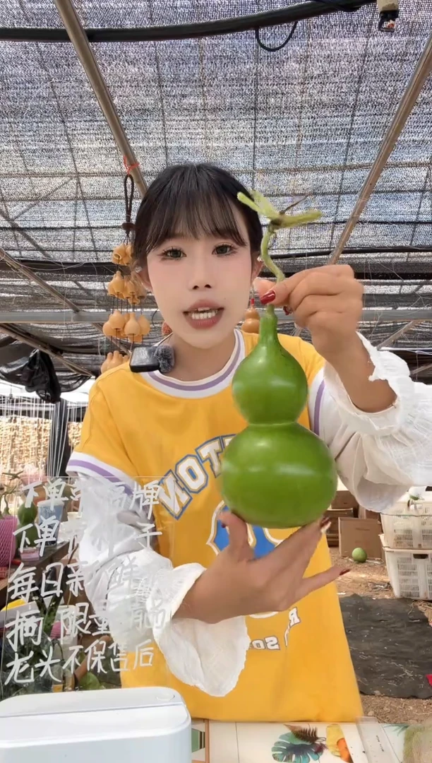 446天然葫芦摆件 一物一拍龙头不保售后