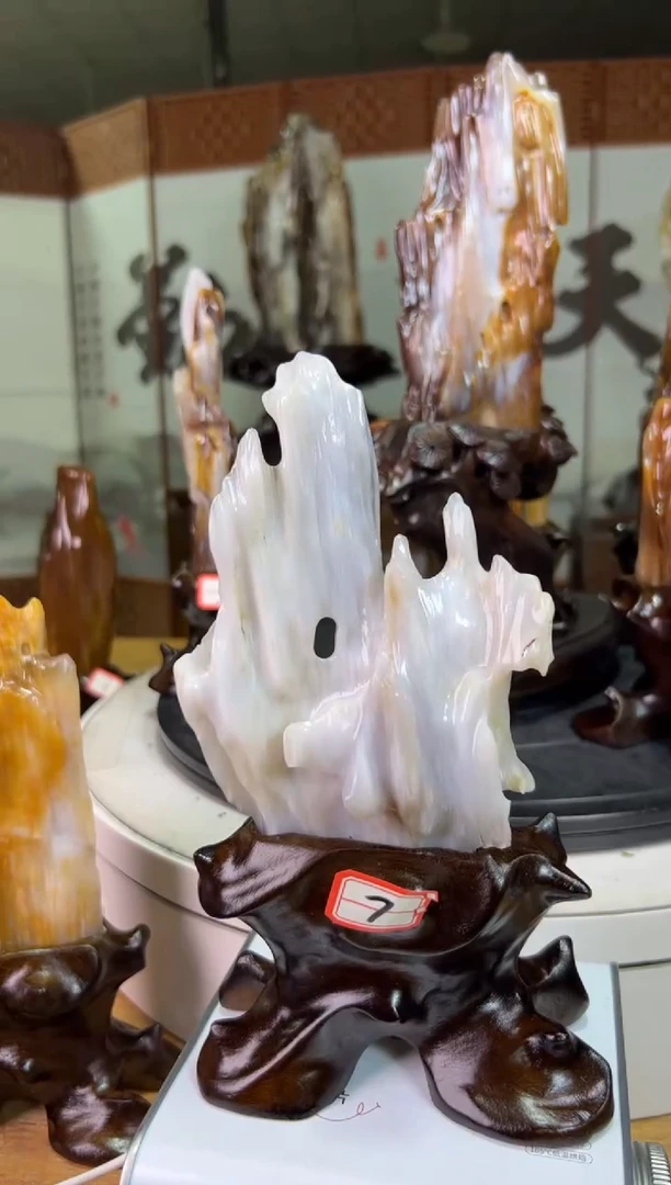 未镶嵌珠宝奇石硅化玉原*255