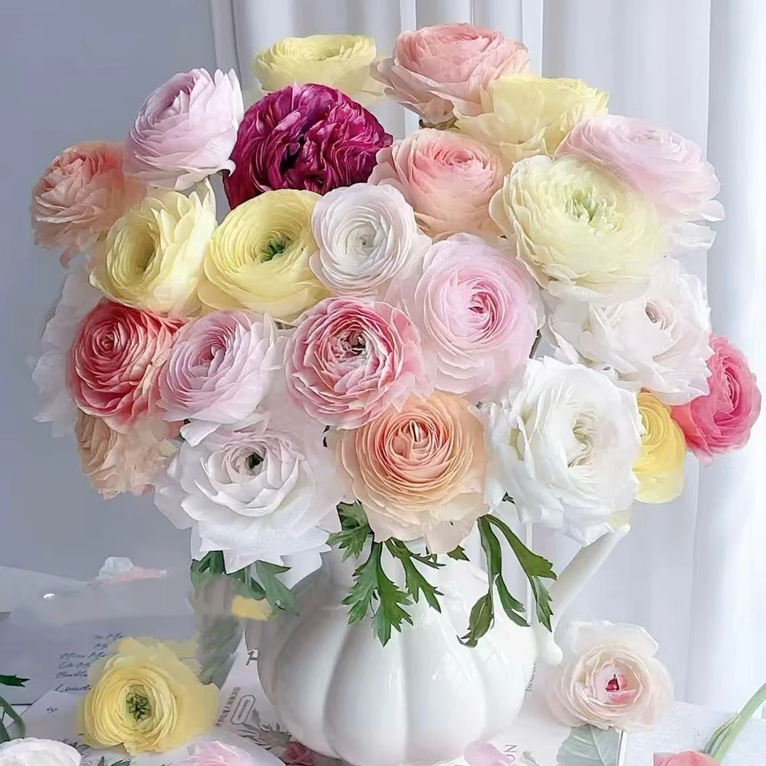 【稀有洋牡丹】任意两单及两单以上鲜花顺丰包邮发货