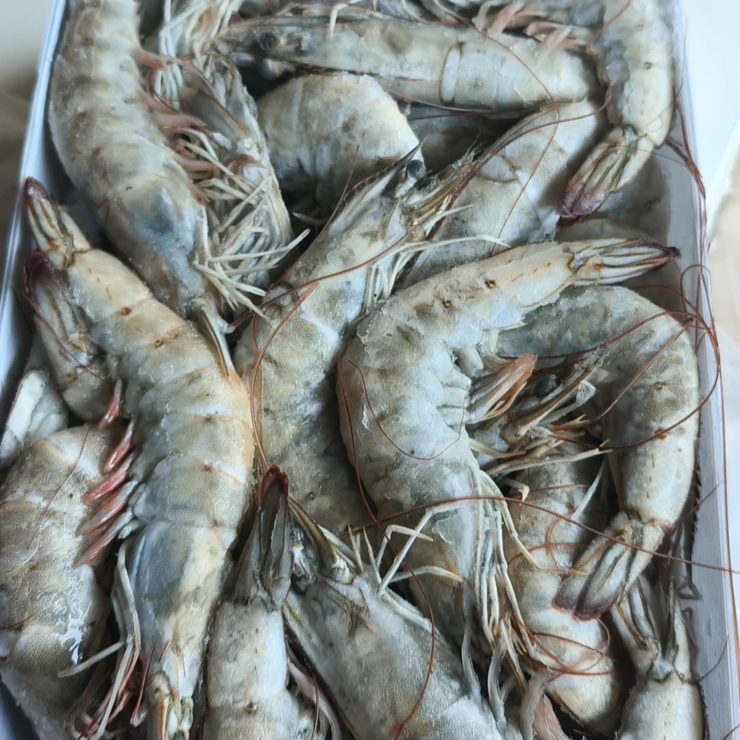 【精品厄瓜多尔大虾】2030 20-30只/公斤 海虾水产海虾大虾南美白虾