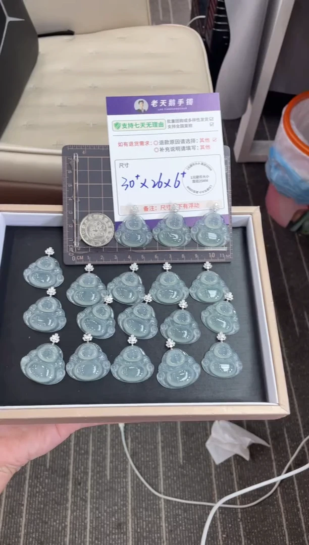 18K金镶嵌挂件翡翠佛公FL22/多样性发其一CP配链