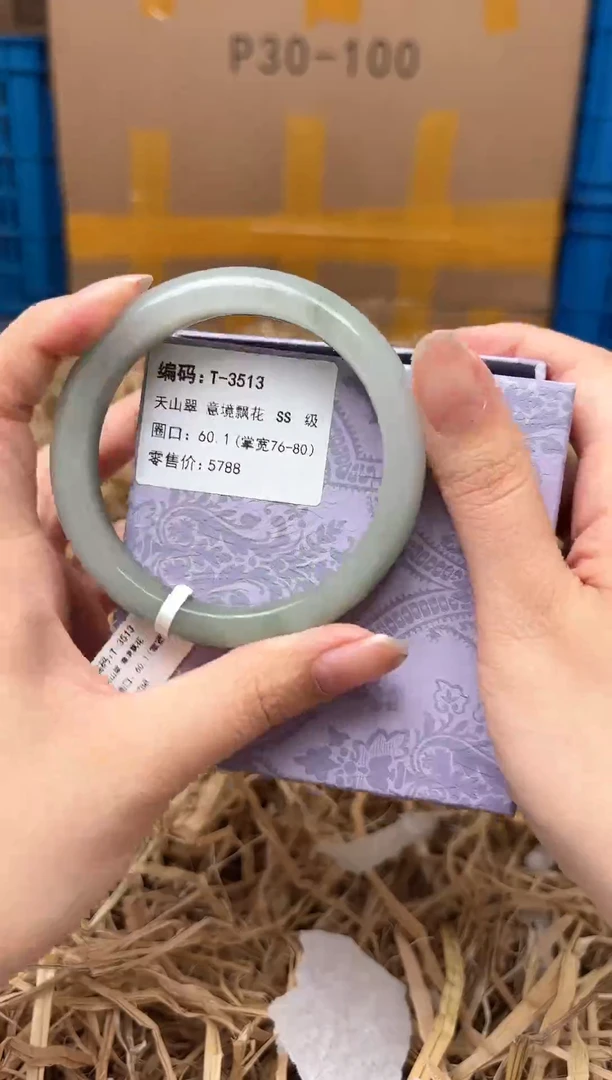 未镶嵌手镯石英质玉T-3513