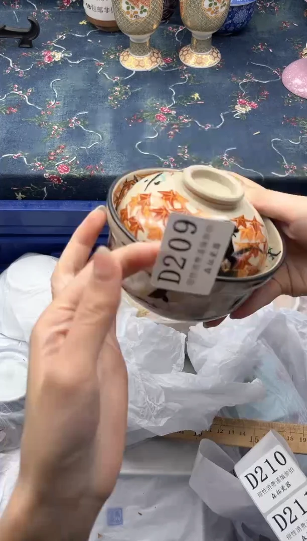 瓷片          D209