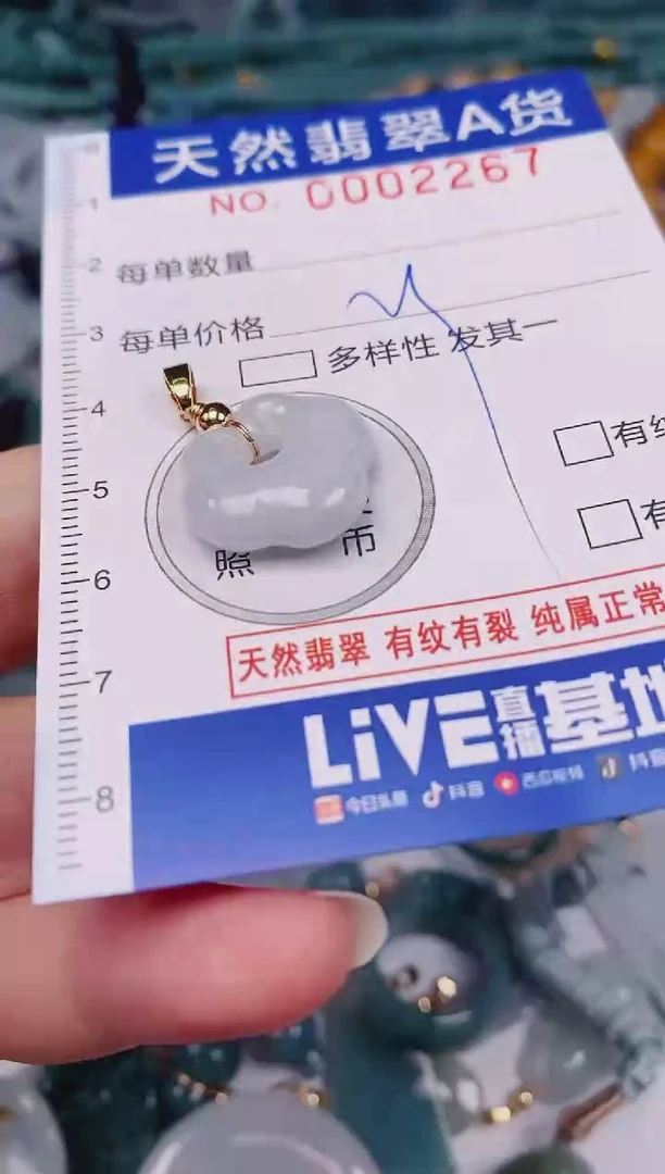 颈饰未镶嵌翡翠00002267
