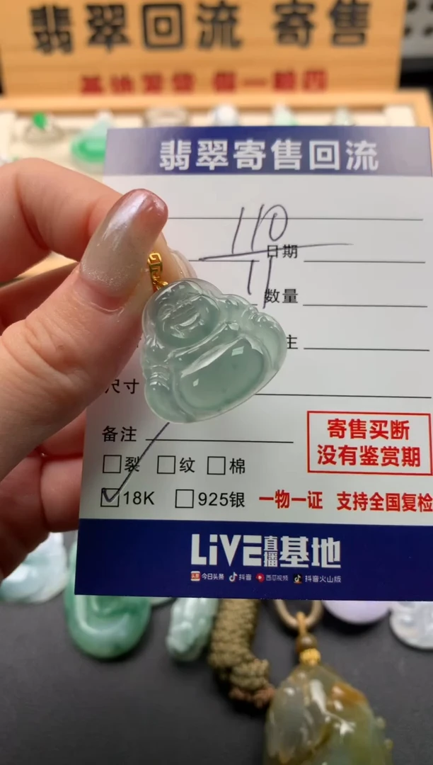 翡翠18K金镶嵌颈饰10142397