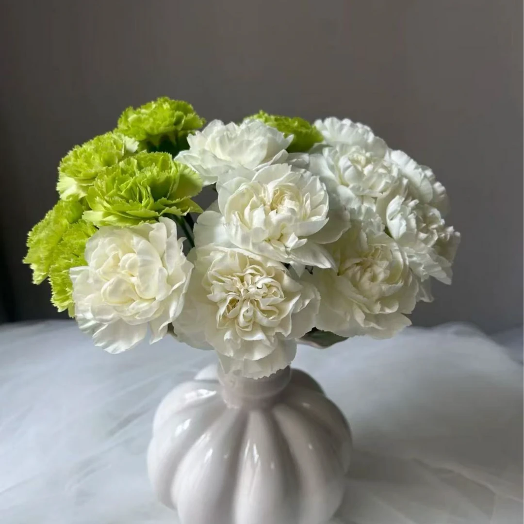 【母亲节限定】夏日抹茶康乃馨  两单以上包邮