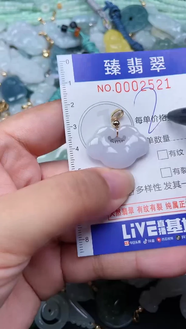翡翠未镶嵌颈饰.0002521