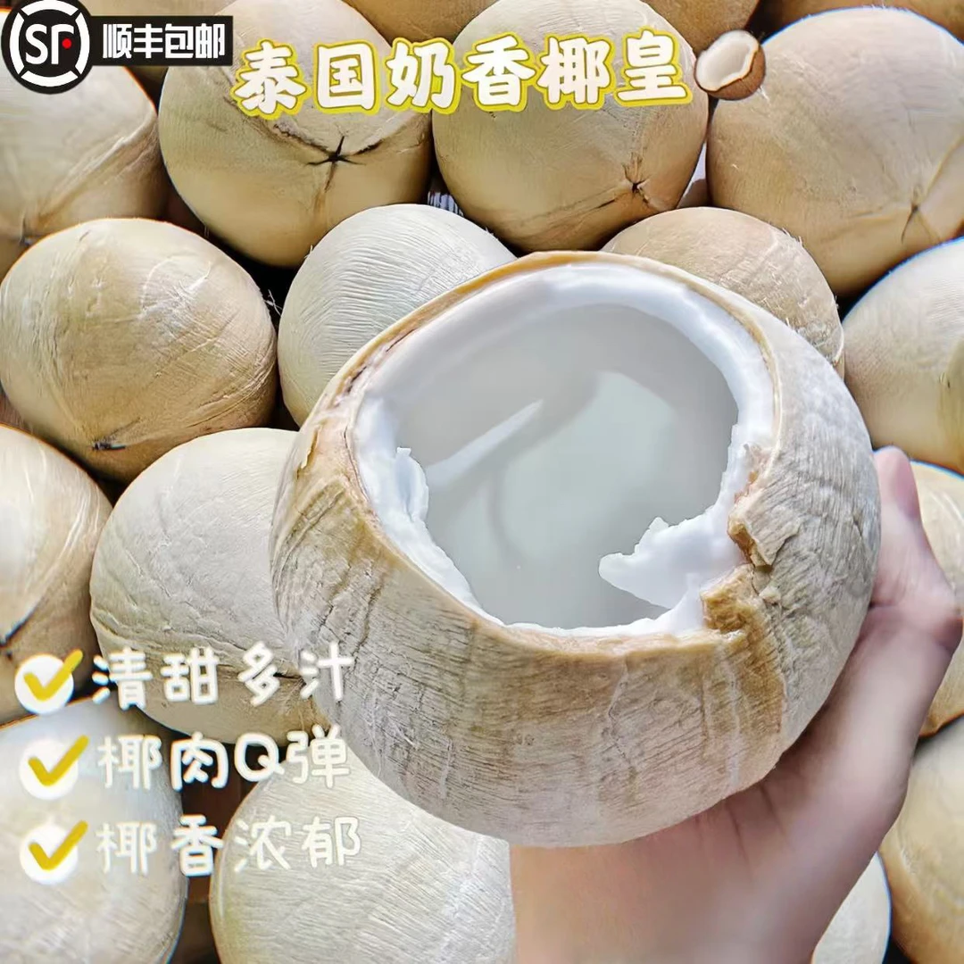 【顺丰包邮】泰国奶香椰皇精选老树椰皇奶香浓郁孕妇水果
