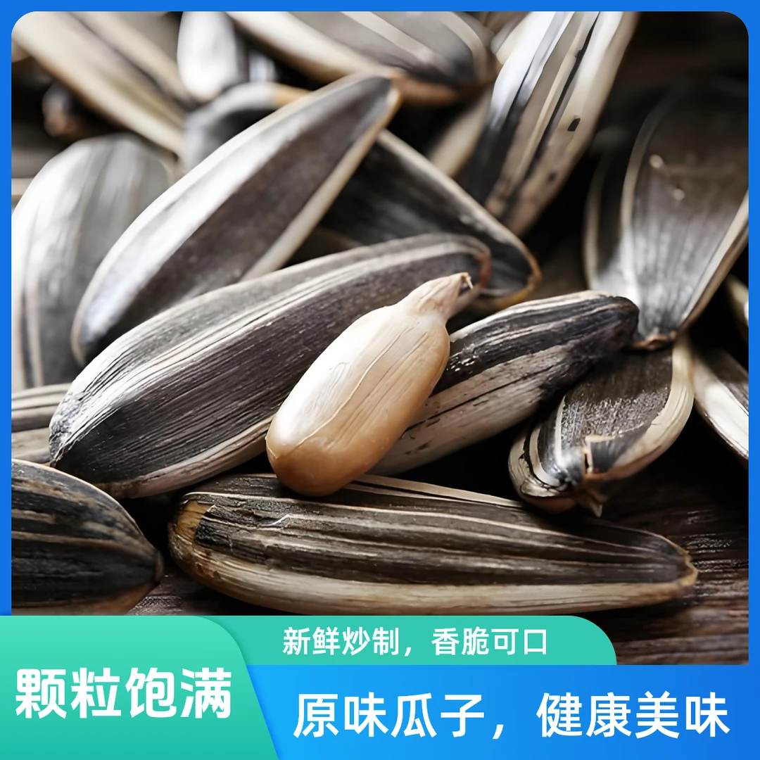 内蒙古精选大颗粒葵瓜子