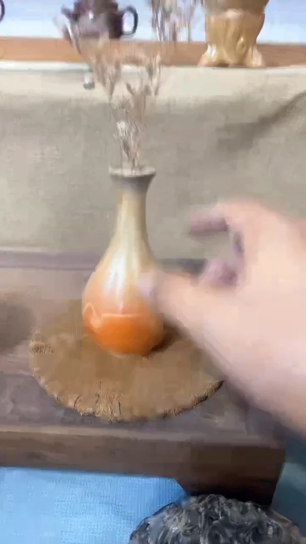 茶56565656565565656