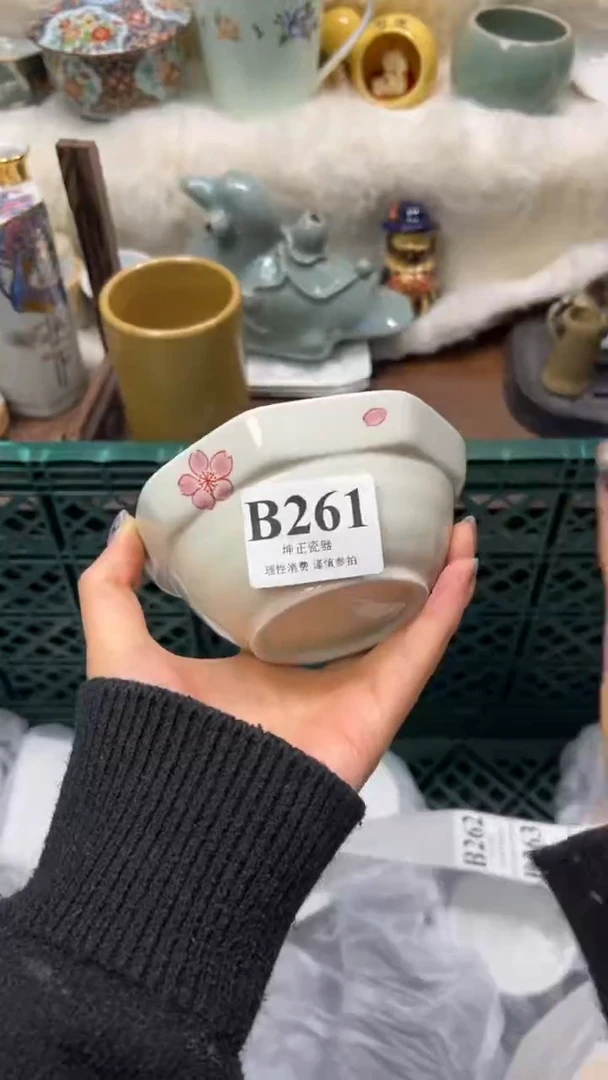 【闪购商品】瓷片          B261