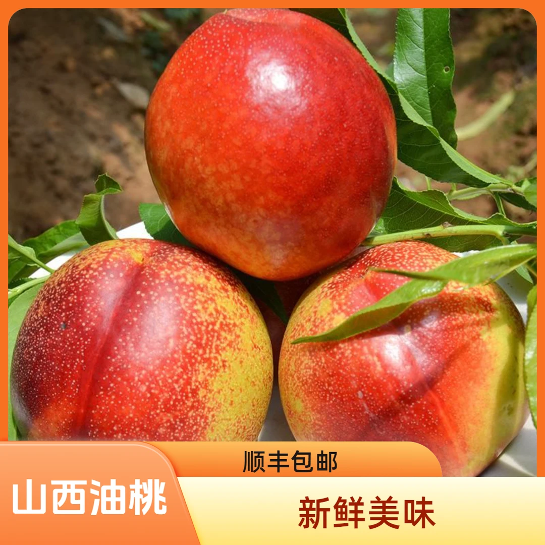 【顺丰包邮】山西运城黄心麻点油桃当季新鲜水果3斤装