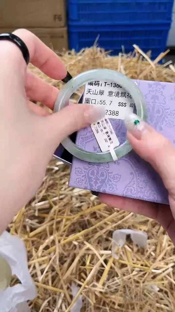 未镶嵌手镯石英质玉T-1360