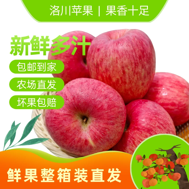 【产地直发】正宗洛川红富士苹果产地直发2.5斤-5斤 脆甜多汁