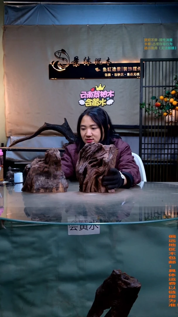摆件景沐沉木i849景沐沉木i849