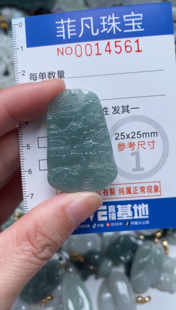 颈饰未镶嵌翡翠14561