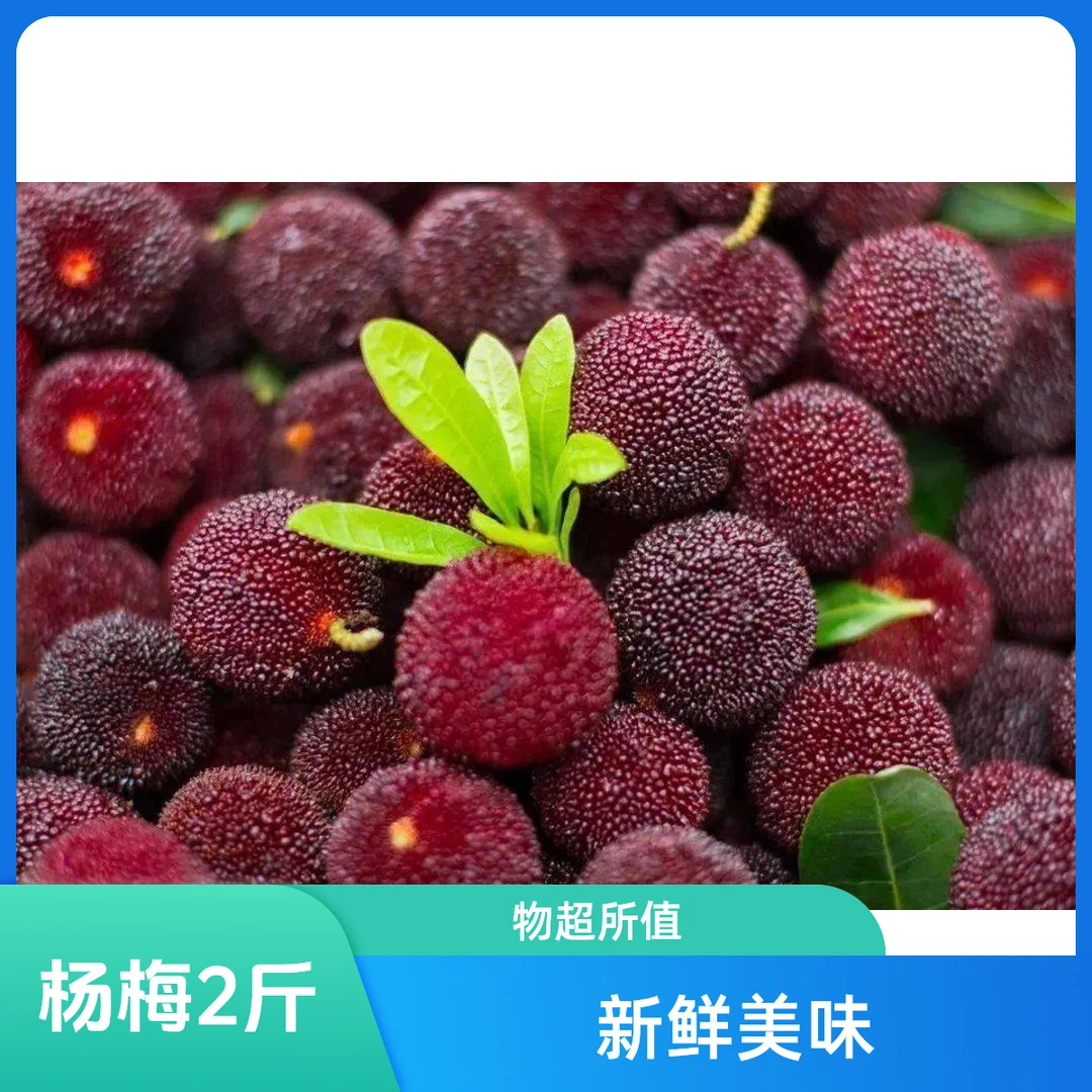 杨梅2斤（只有24小时售后）