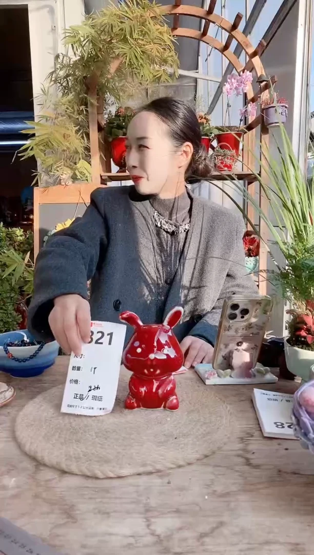 小玩子花盆直播编号321