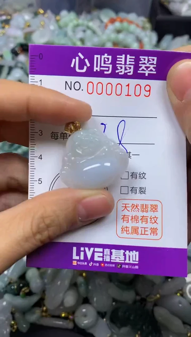 【闪购商品】翡翠颈饰未镶嵌闪购00109