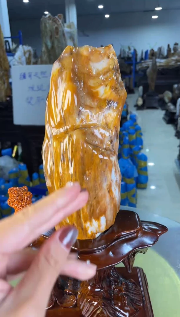 未镶嵌摆件硅化玉78