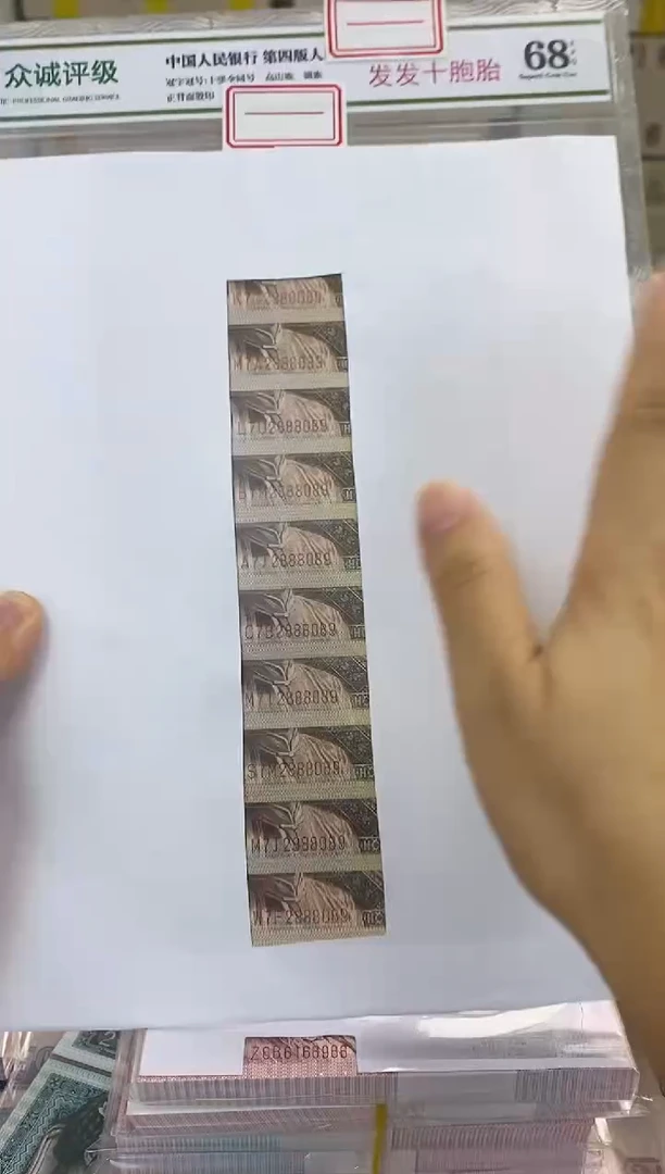 【发发十胞胎】01.全部豹子888 十胞胎！