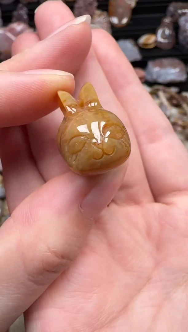 颈饰未镶嵌硅化珊瑚（珊瑚玉）005