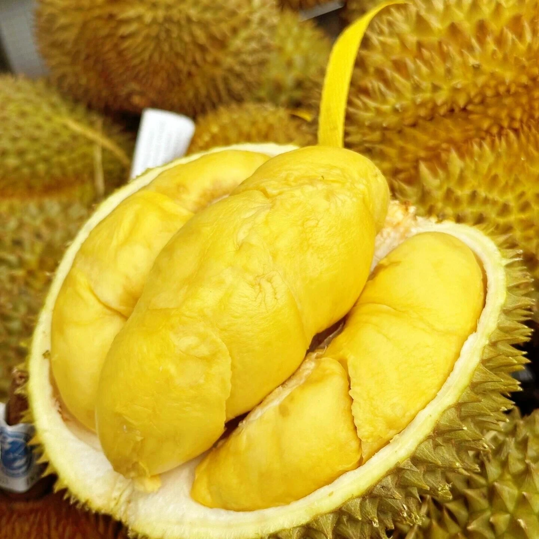 【特价果不包售后】2斤泰国鲜榴莲树熟榴莲成熟精品A级树熟核小榴莲同城送金枕泰国