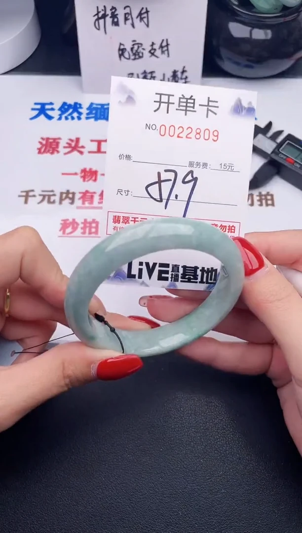 未镶嵌手镯翡翠09