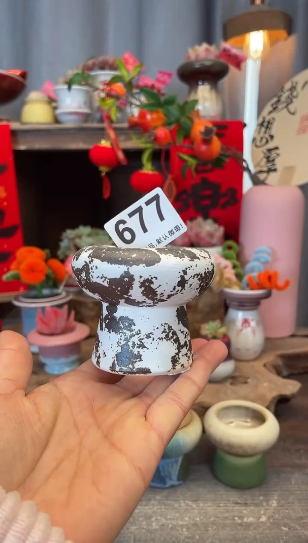 【闪购商品】摆件677知木小芳花盆