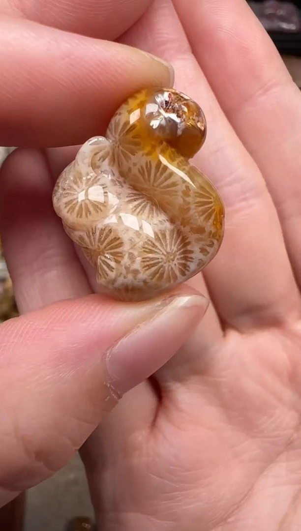 硅化珊瑚（珊瑚玉）未镶嵌颈饰627