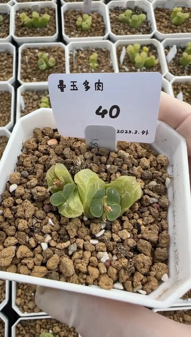 【闪购商品】3.8-40mmz