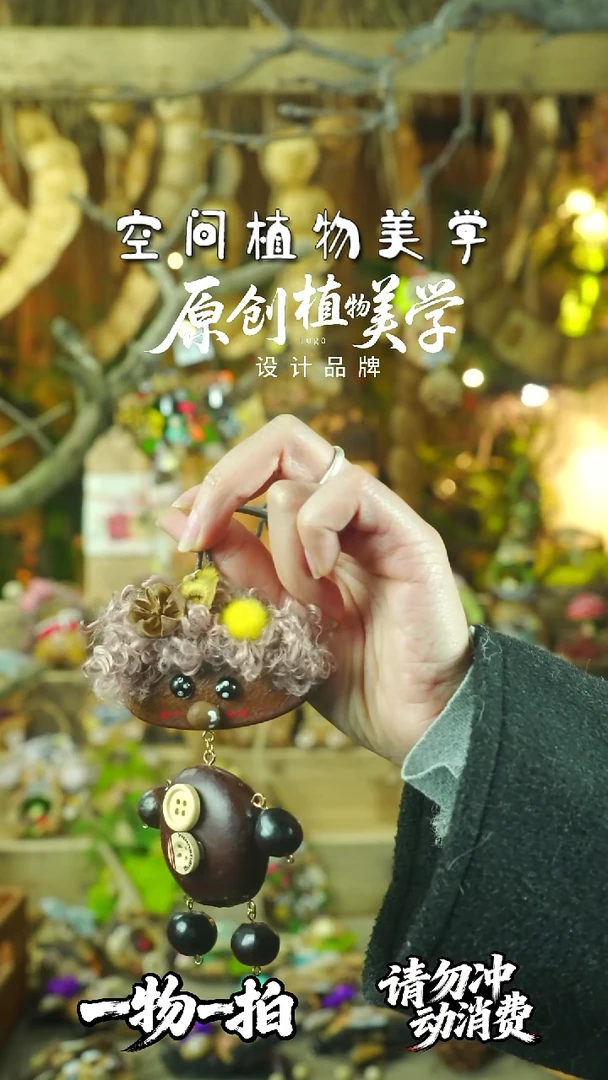 香榧木豆荚娃娃一物一拍