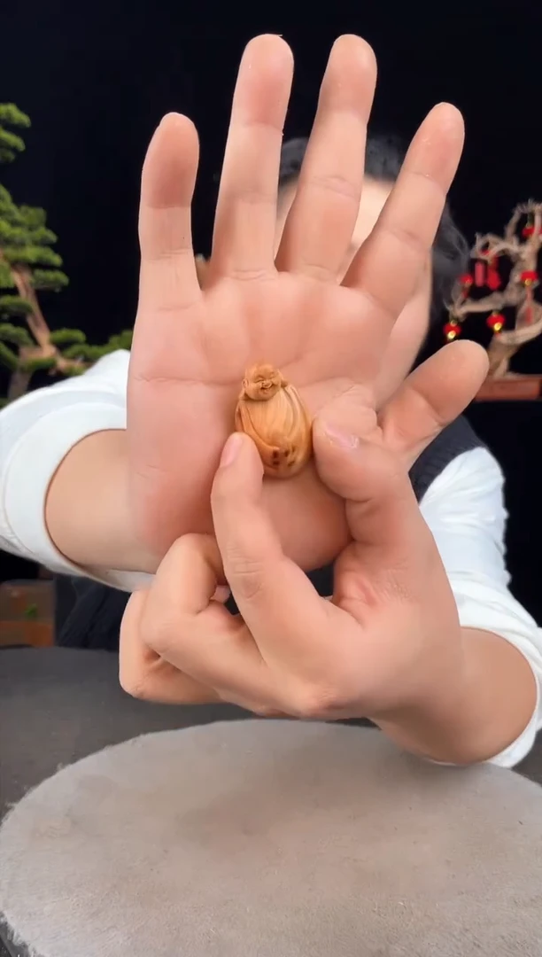 【闪购商品】柏木(崖柏)其他手工摆件,先抢先得!