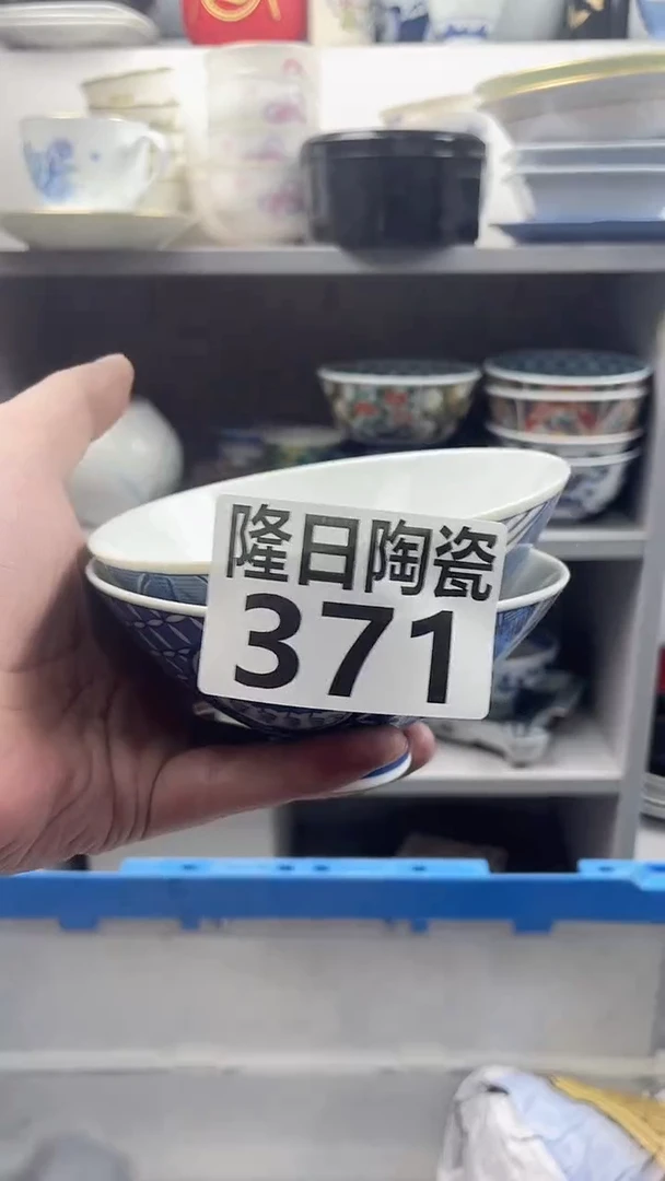 【闪购商品】瓷片longritaoci371