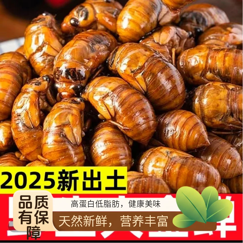 【农产品大小都有，介意者勿拍】山东特产金蝉 现抓速冻  高蛋白