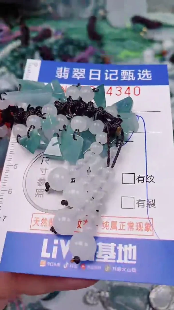 翡翠未镶嵌颈饰00004340