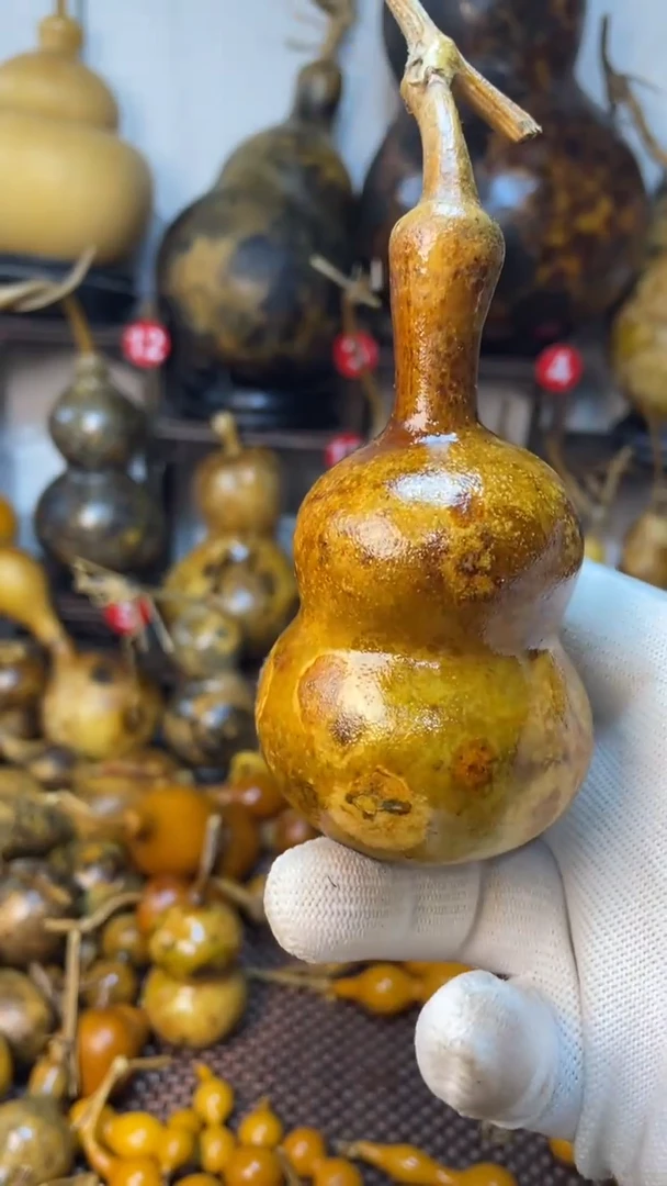 【闪购商品】葫芦葫芦葫芦葫芦