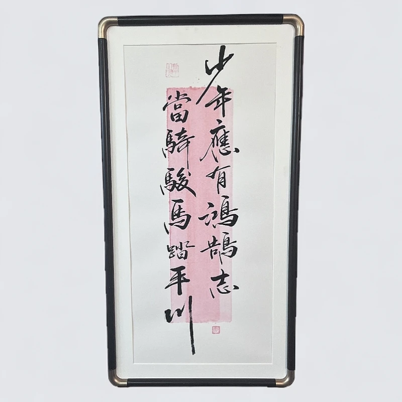 念琦手绘 带框书法《少年》 尺寸：35*67CM客厅餐厅