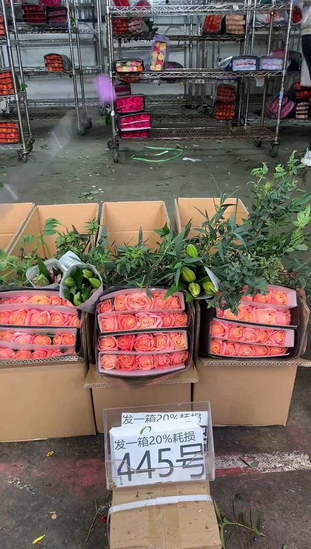 445号♥中通含20%耗损发一箱鲜花
