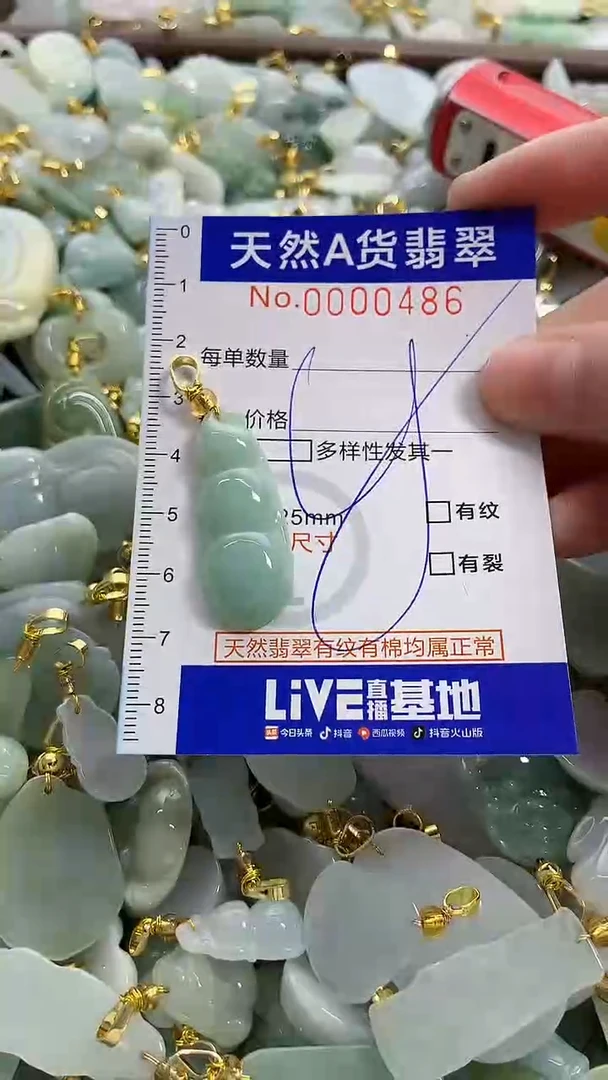 颈饰未镶嵌翡翠纯天然a货翡翠