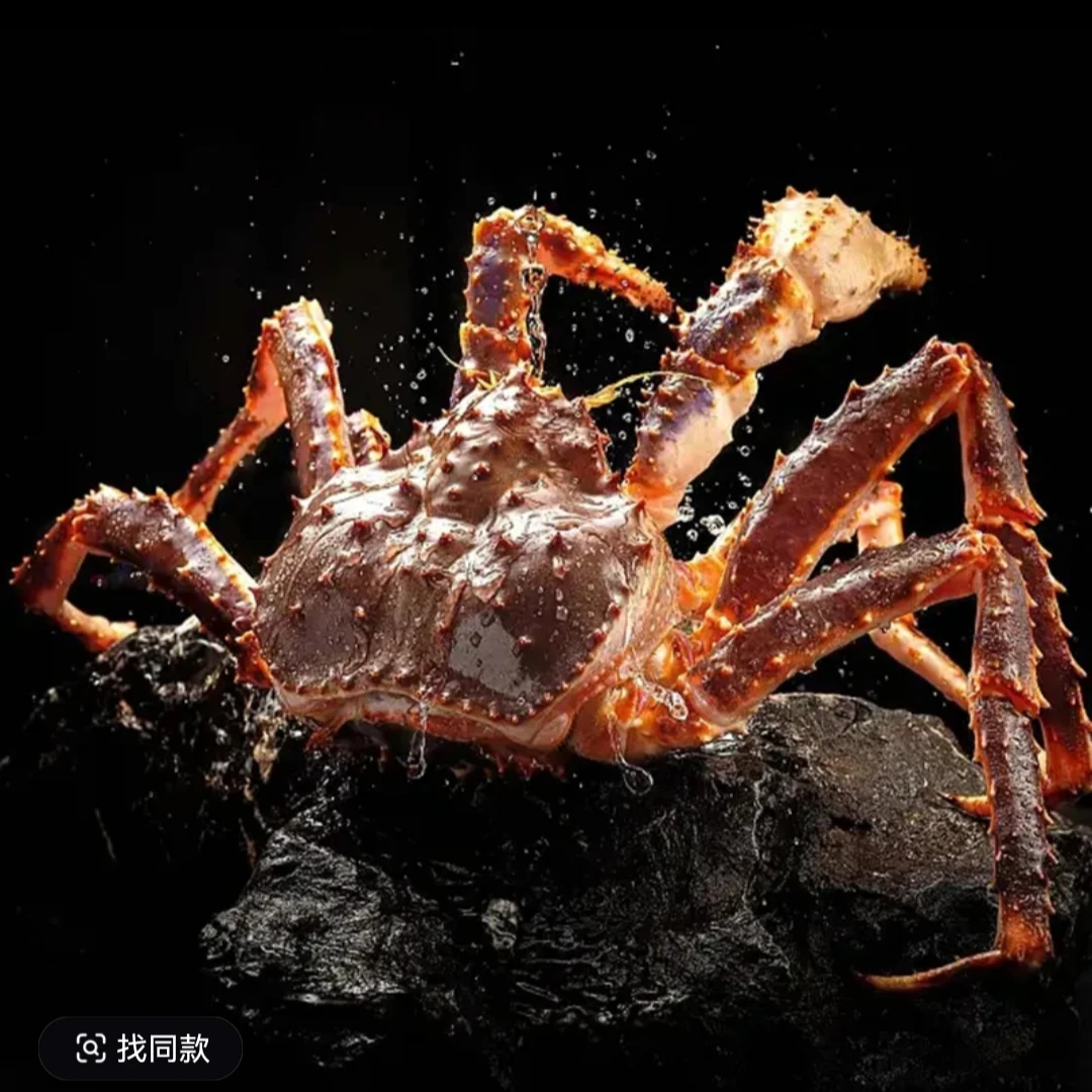 鲜活精品 帝王蟹一只4.5斤左右