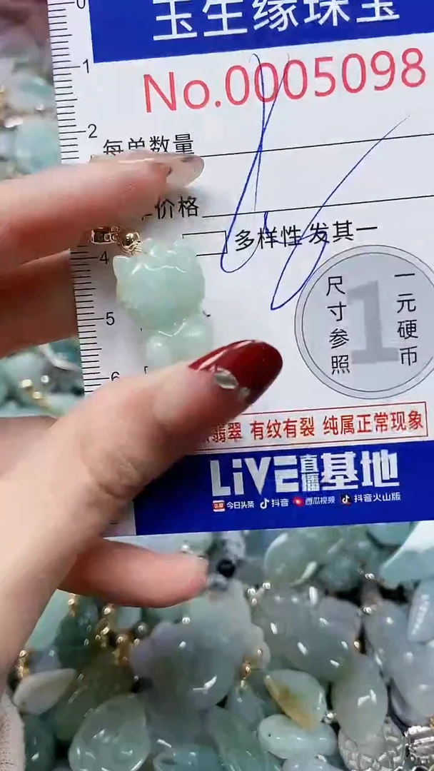 【闪购商品】翡翠颈饰未镶嵌闪购00005098