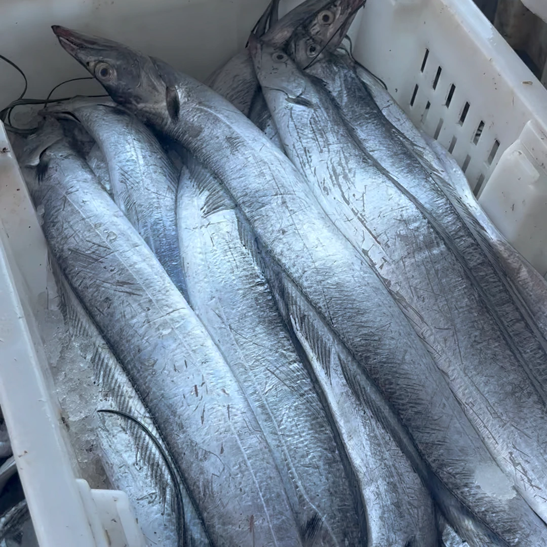 带鱼 黄鱼 鲳鱼 尝鲜套餐