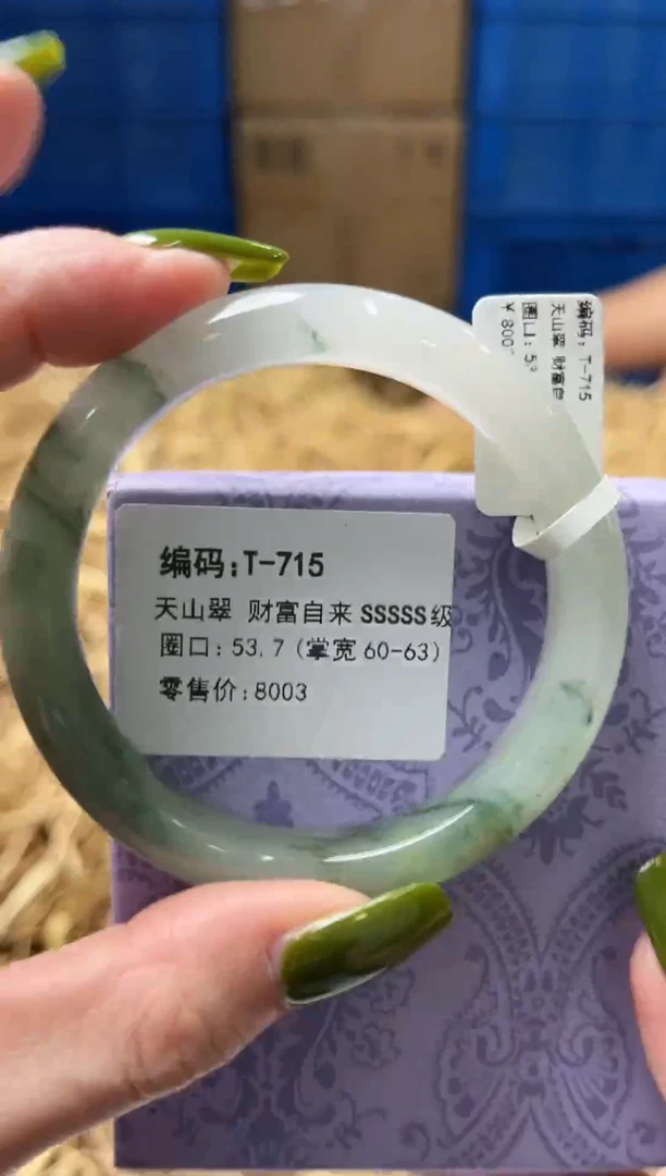 未镶嵌手镯石英质玉T715