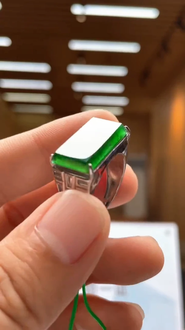 翡翠未镶嵌颈饰*********682